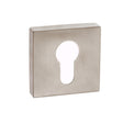 Forme Euro Escutcheons on Minimal Square Rose - Satin Nickel - Pair