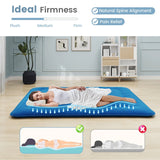 Floor Futon Mattress Medium Firm Thickened Tatami Mat with Carrying Bag-Blue-King Size