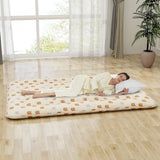 Floor Futon Mattress Medium Firm Thickened Tatami Mat with Carrying Bag-Brown-Double Size