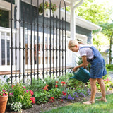 Decorative Garden Fence for Vegetable Flower Cucumber Tomato