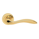 GIAVA LEVER ON CONCEALED FIX ROUND ROSE OTL (POLISHED BRASS) - POLISHED BRASS - 51MM - PAIR