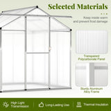 185 x 185 cm/244 x 185 cm Greenhouse Large Walk-in Green House-S