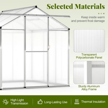 185 x 185 cm/244 x 185 cm Greenhouse Large Walk-in Green House-S