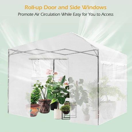 Greenhouse Outdoor Mini Walk-in Plant Portable Garden Greenhouse-White