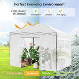 Greenhouse Outdoor Mini Walk-in Plant Portable Garden Greenhouse-White