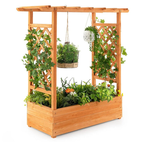 Raised Garden Bed with Top & Side Trellis for Garden
