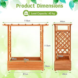 Raised Garden Bed with Top & Side Trellis for Garden
