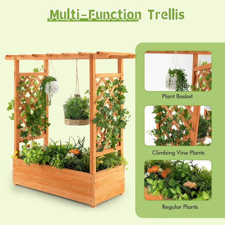 Raised Garden Bed with Top & Side Trellis for Garden