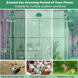 7 x 3.5 x 7 Feet Lean-to Greenhouse with Flower Rack