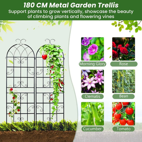 2/4 Pack 71 x 20 Inch Metal Garden Trellis for Climbing Plants-Set of 4