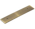 Hoxton Fanshaw Backplates for Cabinet Handles 140x30mm Antique Brass