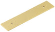 Hoxton Fanshaw Backplates for Cabinet Handles 140x30mm Satin Brass