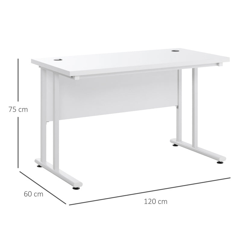 HOMCOM Computer Desk, Home Office Desk, Writing Table, 120x60x75cm Laptop Workstation with 2 Cable Management Holes, C Shaped Metal Legs for Adults, White