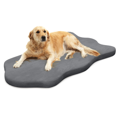 Orthopedic Dog Bed with Memory Foam Support for Large Dogs-Gray