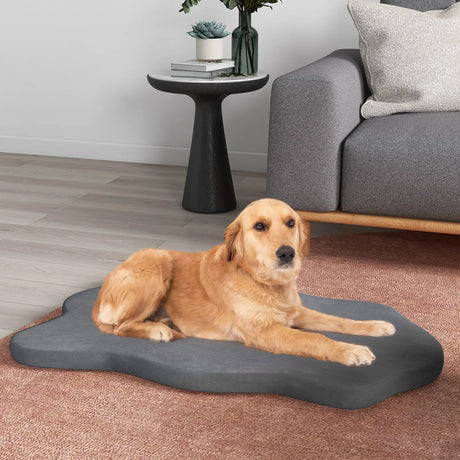 Orthopedic Dog Bed with Memory Foam Support for Large Dogs-Gray