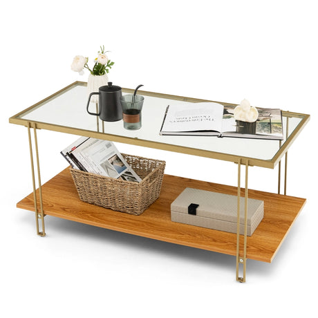 2 Tier Rectangular Coffee Table with Gold Steel Frame and Storage Shelf for Living Room