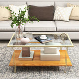 2 Tier Rectangular Coffee Table with Gold Steel Frame and Storage Shelf for Living Room