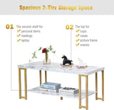 2-Tier Rectangular Modern Coffee Table with Gold Print Metal Frame