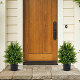 2-Pack Artificial Cedar Topiary Ball Tree with Cement Pot