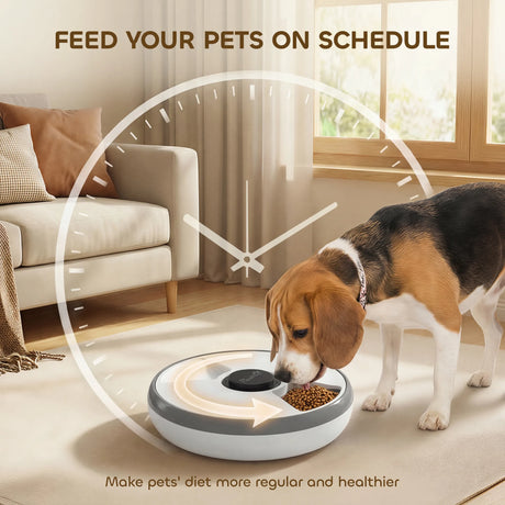 PawHut Automatic Cat Feeder Programmable Timer for Dry Wet Food Cat Food Dispenser with Ice Pack for 6 Meals