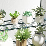 Outsunny Four-Tier Mini Greenhouse - Green/White