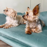 PawHut Dog Sofa, Pet Couch Bed for Medium, Large Dogs, with Legs, Cushion - Green