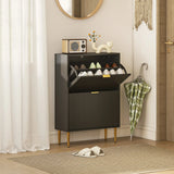 HOMCOM Narrow Shoe Cabinet with 2 Flip Drawers - Black