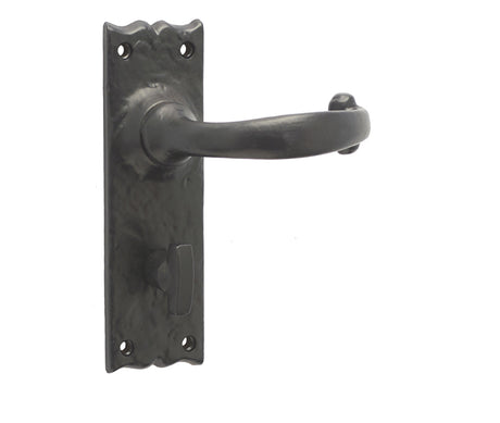 Regal Suite Door Handle on Bathroom Plate Black
