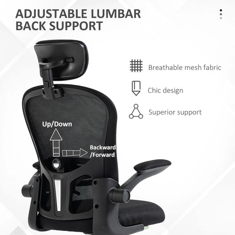 Vinsetto Multi-Adjustable Office Chair, with Lumbar Support, Headrest and Mesh Back - Black