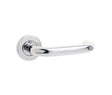 Orbit 19mm Door Handle on 8mm Sprung Rose Grade 304 Polished Stainless Steel