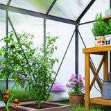 Outsunny 190 x 190cm Walk-In Polycarbonate Greenhouse