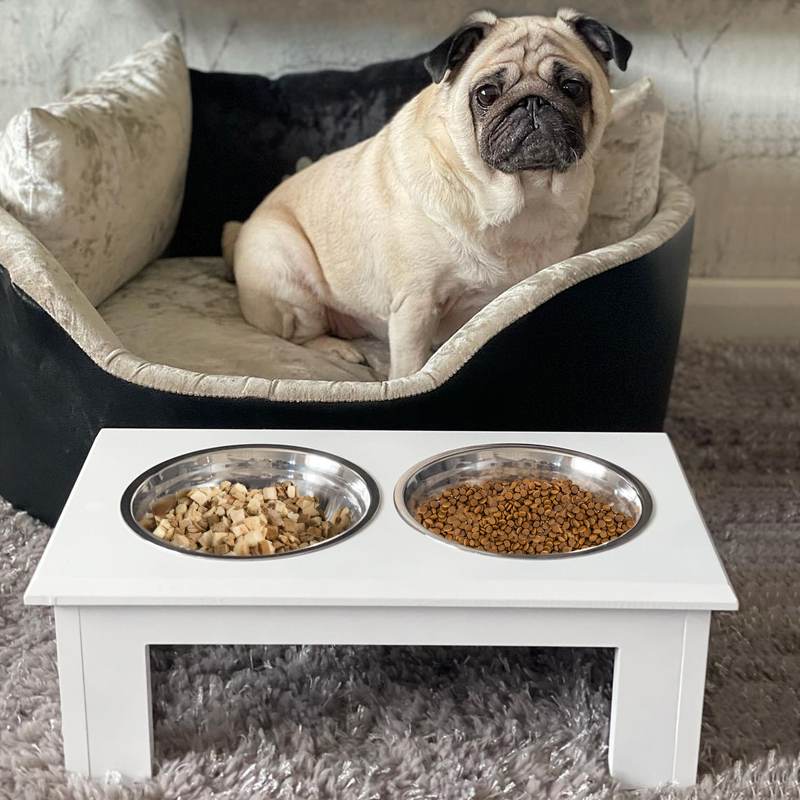 PawHut Raised Dog Feeding Bowls with Stand, Stainless Steel for  Extra Small and Small Dog, 44L x 24W x 15H cm - White