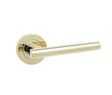 Petra Door Handles Brass Finish