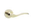 Turin Door Handles Brass Finish