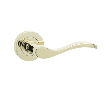 Turin Door Handles Brass Finish