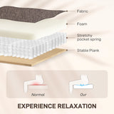 HOMCOM Electric Rise/Recline Armchair, with Reading Light - Brown