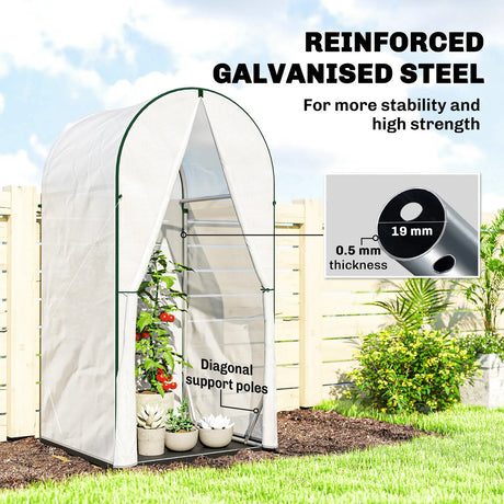 Outsunny Mini Greenhouse, Portable Green House with Roll-Up Door, PE Base, Small Greenhouse, 100 x 100 x 195 cm, White