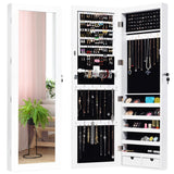 Door Mounted Lockable Mirrored Jewelry Cabinet with LED Lights