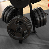 SPORTNOW Weight Tree Weight Rack for 5cm Weight Plates and Barbell Bar with 6 Fasten Clamps, 300kg Capacity