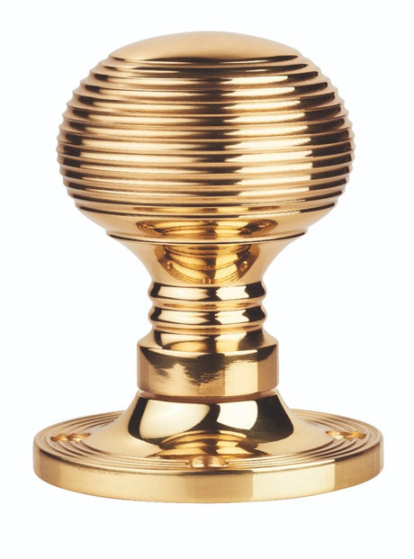 QUEEN ANNE - RIM MORTICE KNOB OTL (POLISHED BRASS) - POLISHED BRASS - 57MM - PAIR