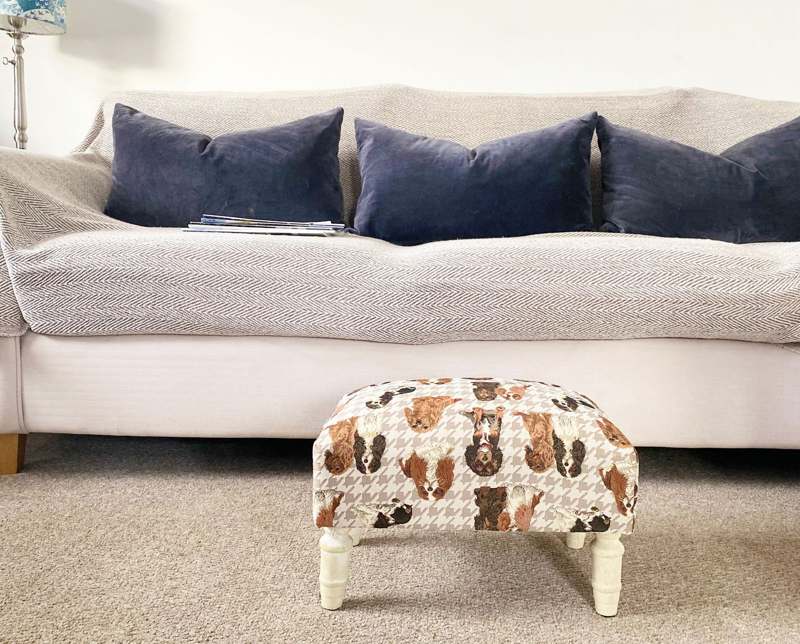 Dog Fabric Footstool with Drawer