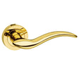 Mediterranean Barcelona Lever Door Handle on Round Rose - Polished Brass - Set