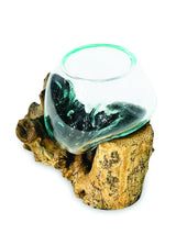 ROOT WITH GLASS BOWL MINI