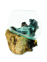 ROOT WITH GLASS BOWL MINI