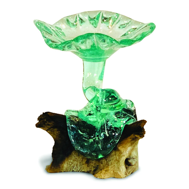 ROOT WITH GLASS SWEETIE DISH 22x22cm