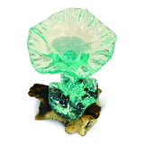 ROOT WITH GLASS SWEETIE DISH 22x22cm