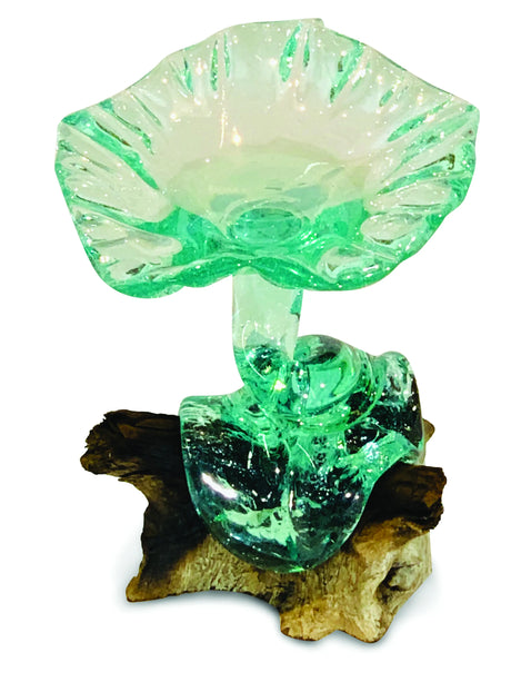 ROOT WITH GLASS SWEETIE DISH 22x22cm