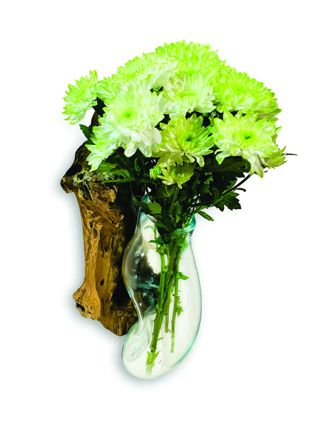 ROOT WITH GLASS BOWL WALL HANGING