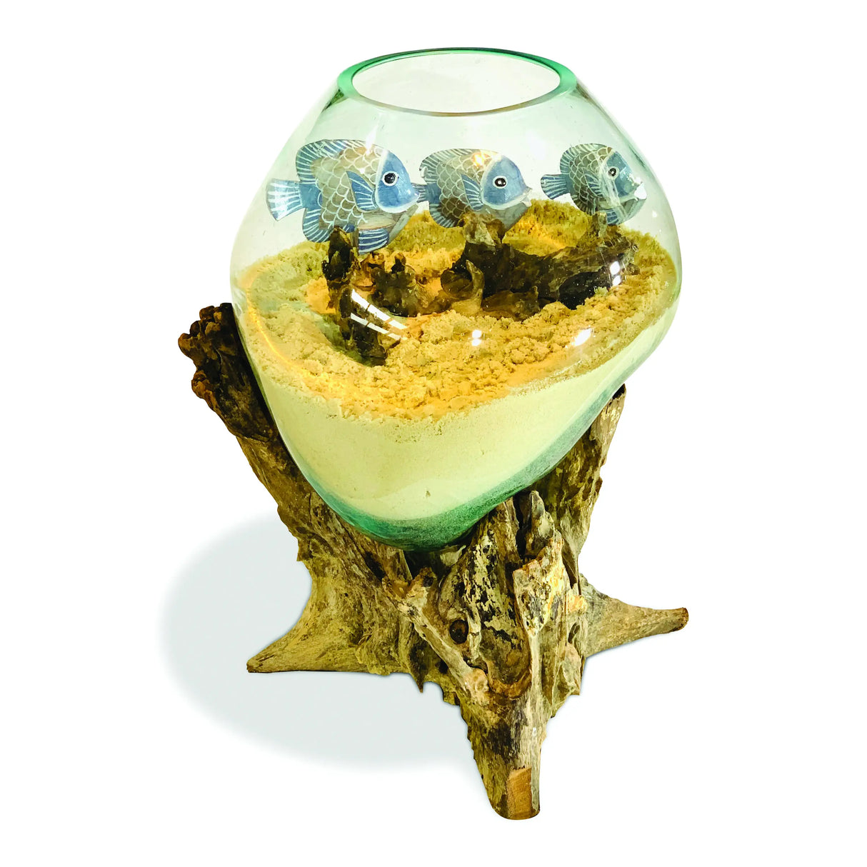 ROOT WITH GLASS SPHERE VIVARIUM