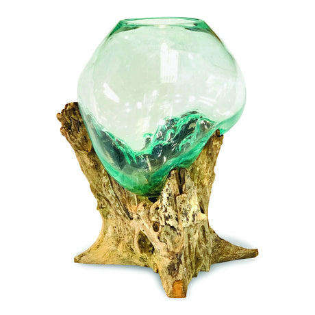 ROOT WITH GLASS SPHERE VIVARIUM